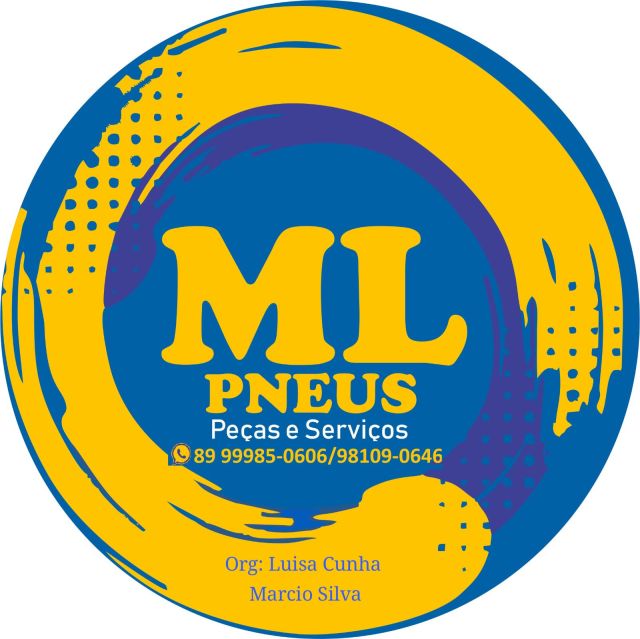ML PNEUS PICOS